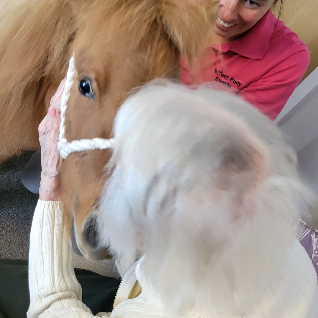 Pony at Astley View Care Home