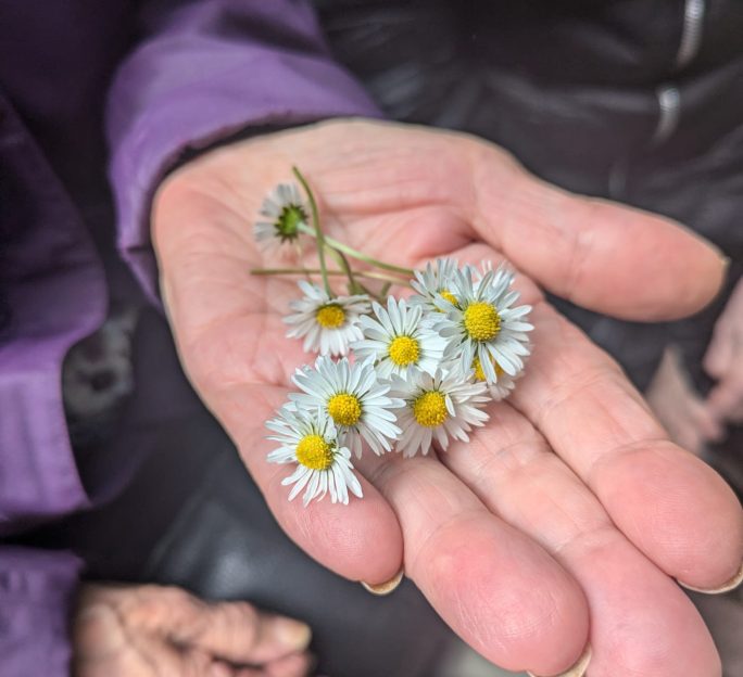 Walking group proves to be a great hit with residents