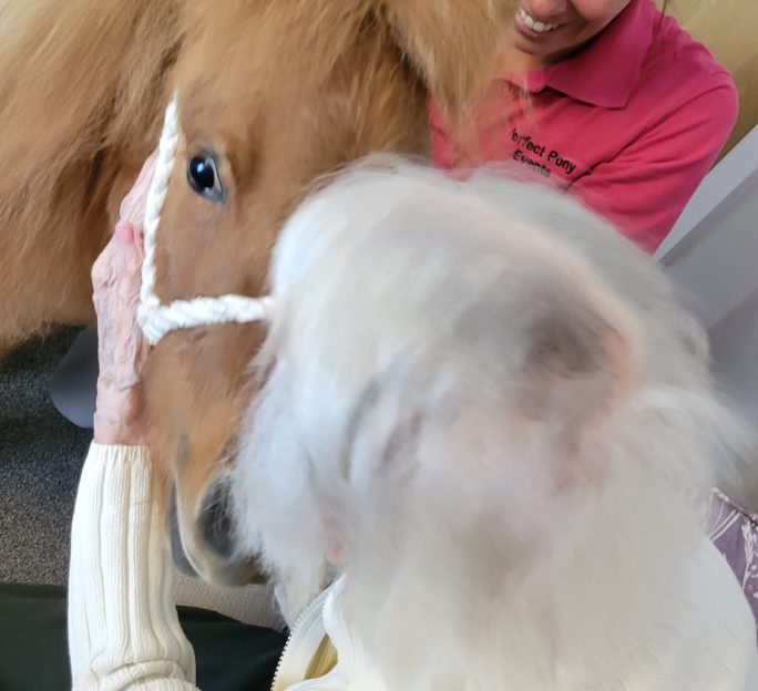 Pony Therapy Brings Smiles to Astley View Care Home in Chorley