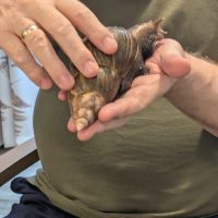 Exotic Animal Visit at Astley View Care Home Brings New Experiences for Residents