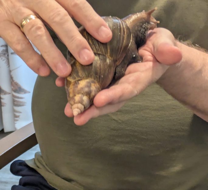 Exotic Animal Visit at Astley View Care Home Brings New Experiences for Residents