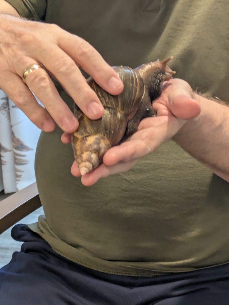 Exotic Animal Visit at Astley View Care Home Brings New Experiences for Residents