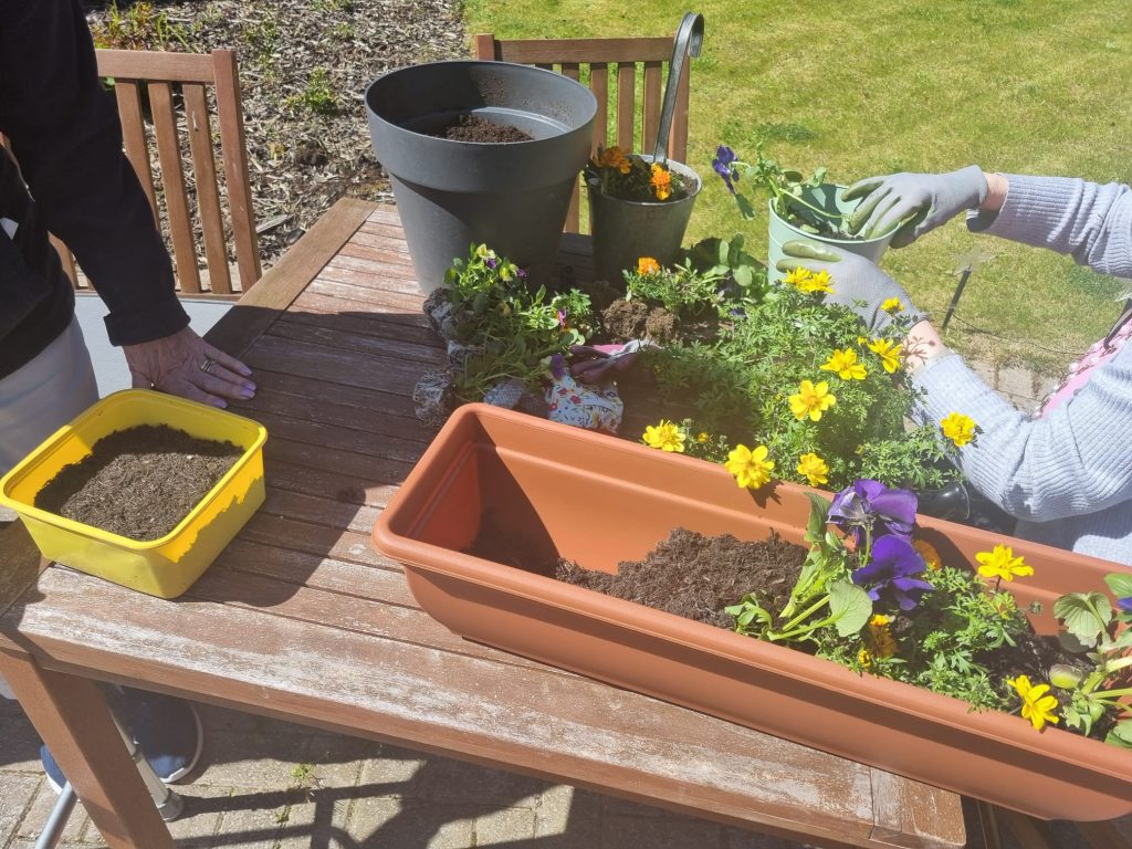 Residents enjoy ‘Potting Party’ in the garden at Astley View Care Home